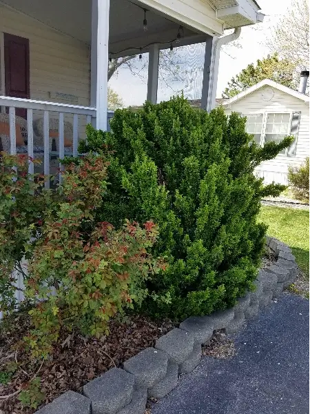 Reliable Lawn Service