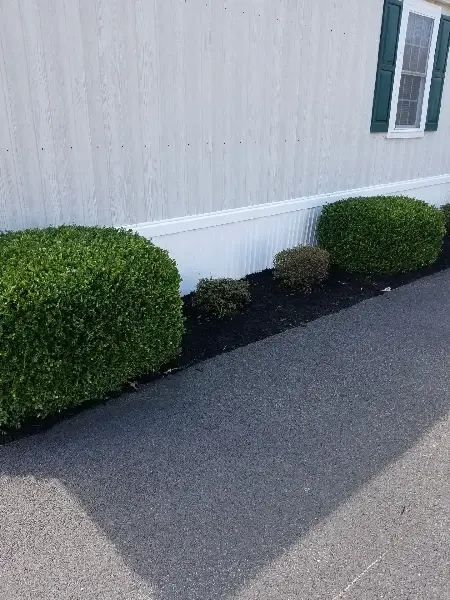 Top Landscape Maintenance