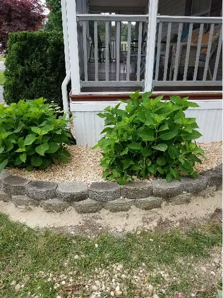 Trusted Landscape Services