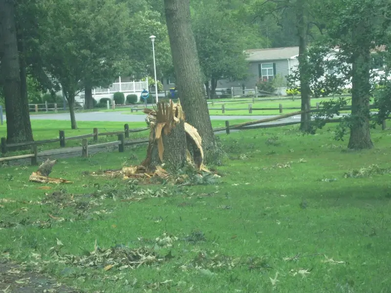 Trusted Landscaping Contractor