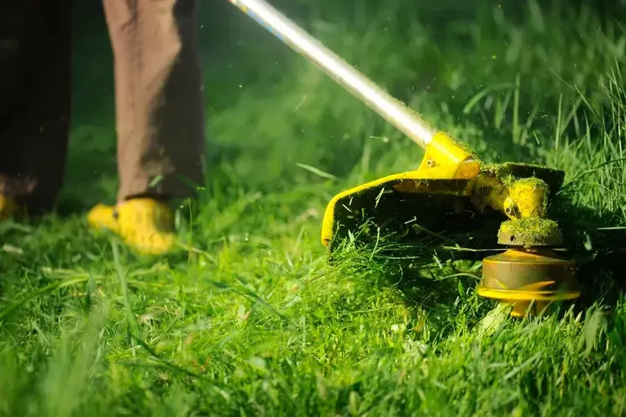 How Regular Grass Cutting Improves Lawn Health Millsboro, DE How Regular Grass Cutting Improves Lawn Health Millsboro, DE