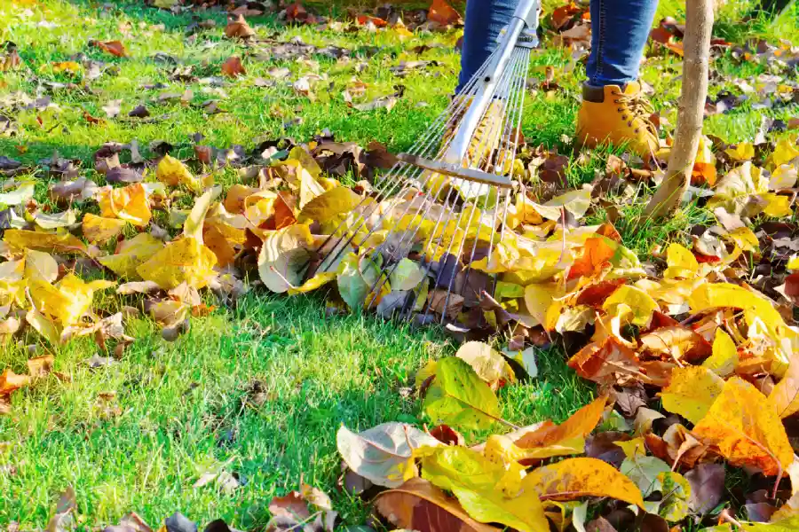 How Yard Maintenance Affects Property Value And Aesthetics Millsboro, DE How Yard Maintenance Affects Property Value And Aesthetics Millsboro, DE
