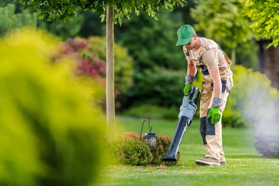 How Yard Maintenance Affects Property Value And Aesthetics in Millsboro, DE How Yard Maintenance Affects Property Value And Aesthetics in Millsboro, DE