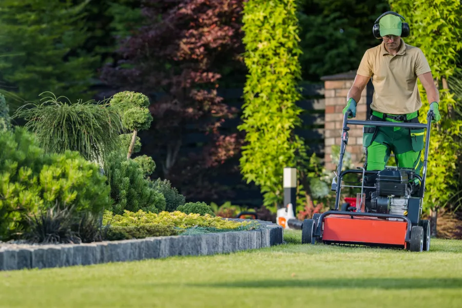 How Yard Maintenance Helps Prevent Lawn Disease And Pests Millsboro, DE How Yard Maintenance Helps Prevent Lawn Disease And Pests Millsboro, DE