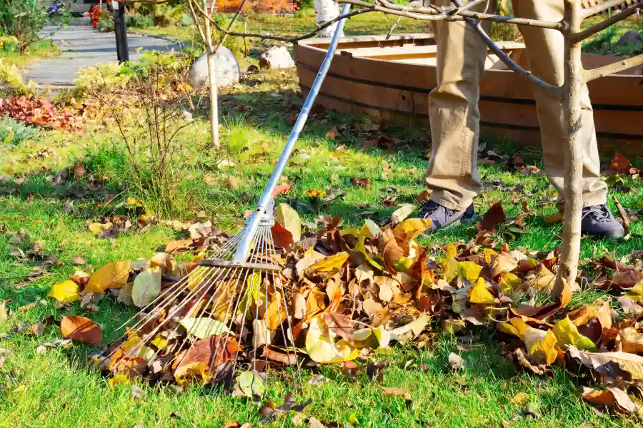 How Yard Maintenance Helps Prevent Lawn Disease And Pests in Millsboro, DE How Yard Maintenance Helps Prevent Lawn Disease And Pests in Millsboro, DE