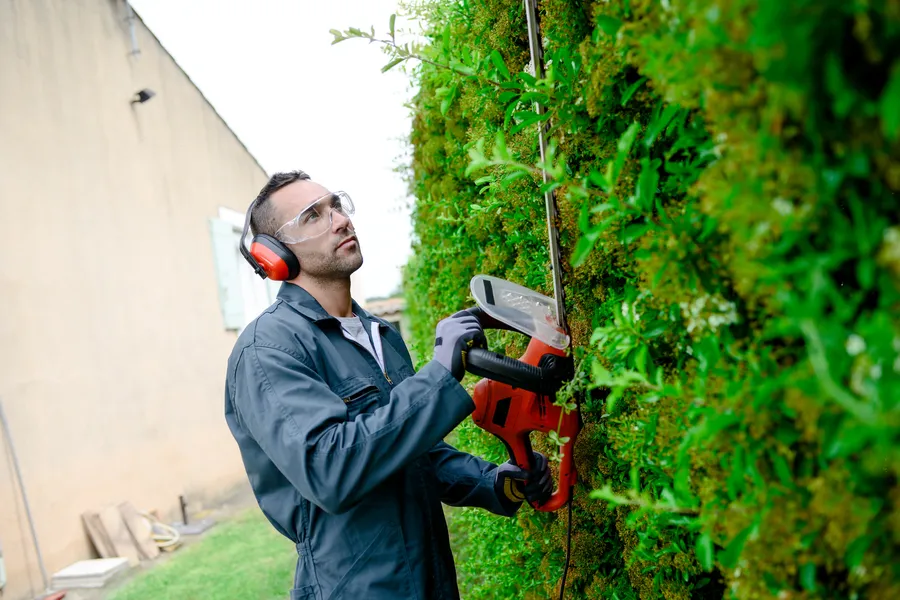 The Impact Of Bush Trimming On Your Property Value in Millsboro, DE The Impact Of Bush Trimming On Your Property Value in Millsboro, DE