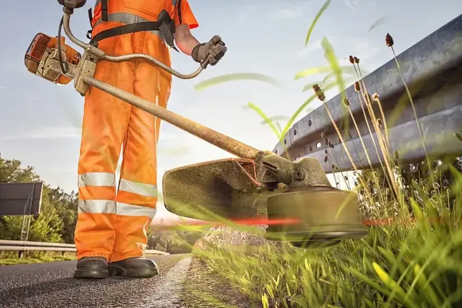 The Role Of Grass Height In Lawn Maintenance Millsboro, DE The Role Of Grass Height In Lawn Maintenance Millsboro, DE