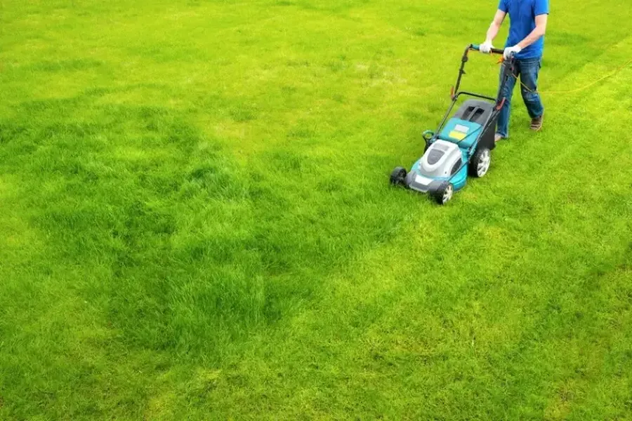 The Role Of Grass Height In Lawn Maintenance in Millsboro, DE The Role Of Grass Height In Lawn Maintenance in Millsboro, DE